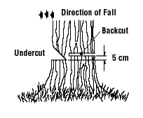 Direction of fall