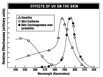 Effects of UV on the skin